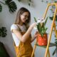 Simple Vastu Tips for Placing Plants in Your Home