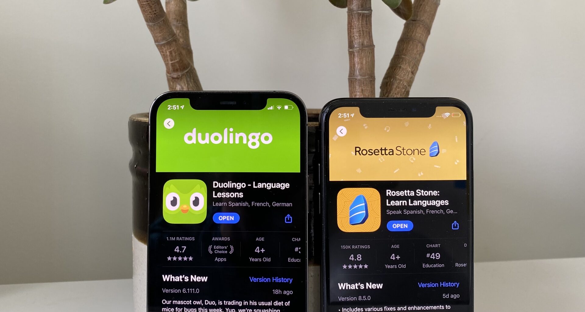 Here are 5 of the best iPhone apps for learning a new language, with over