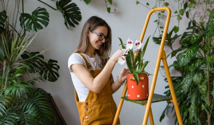 Simple Vastu Tips for Placing Plants in Your Home